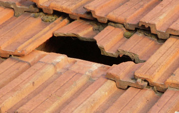 roof repair Quarter, South Lanarkshire