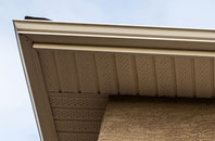 free Quarter fascia quotes