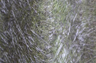 Quarter fibreglass roof work